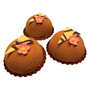 Chocolade bavarois bolgebakje